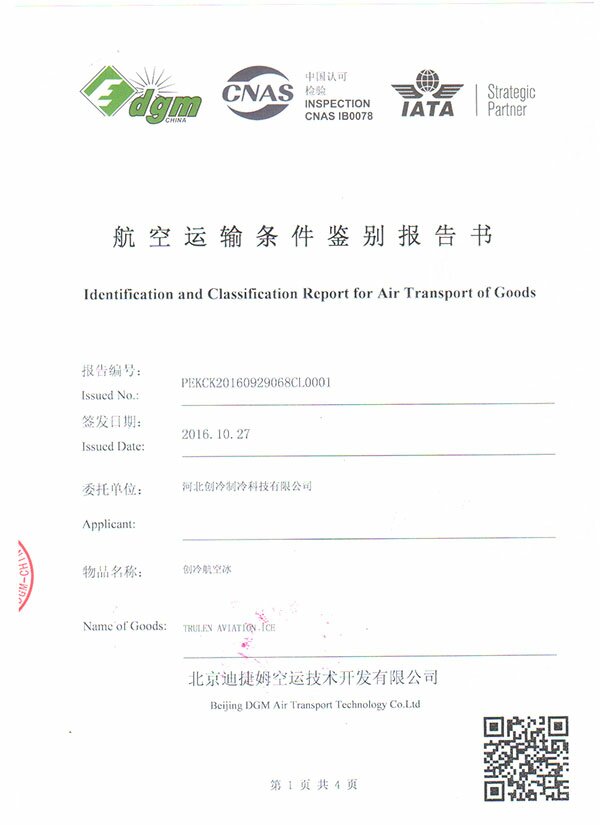 北京迪捷姆（dgm）航空检测报告